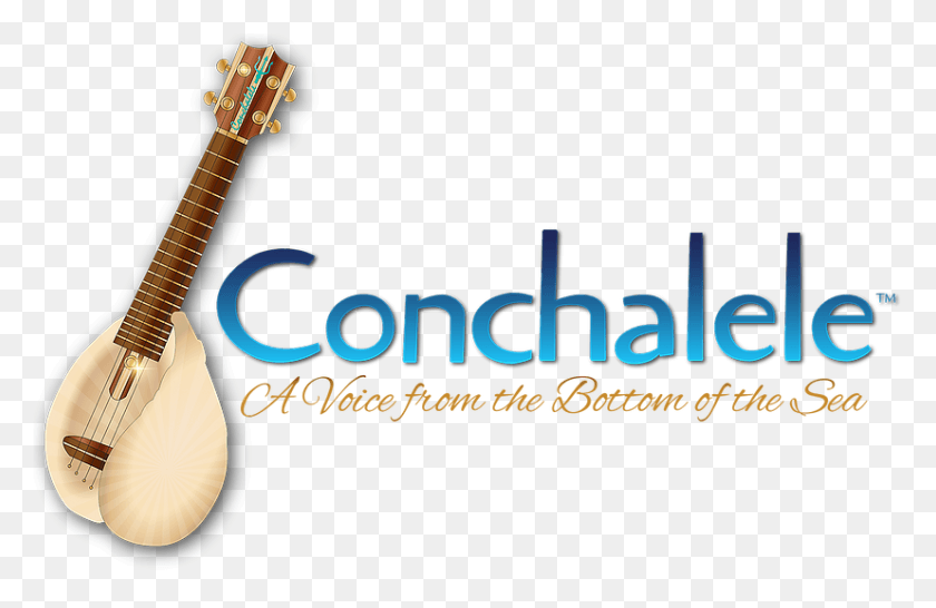 827x516 A Voice From The Bottom Of The Sea Indian Musical Instruments, Leisure Activities, Guitar, Musical Instrument HD PNG Download