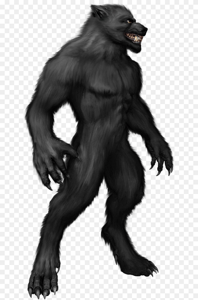 658x1268 A Werewolf And Home Depot Bipedal Wolf, Animal, Ape, Mammal, Wildlife Clipart PNG