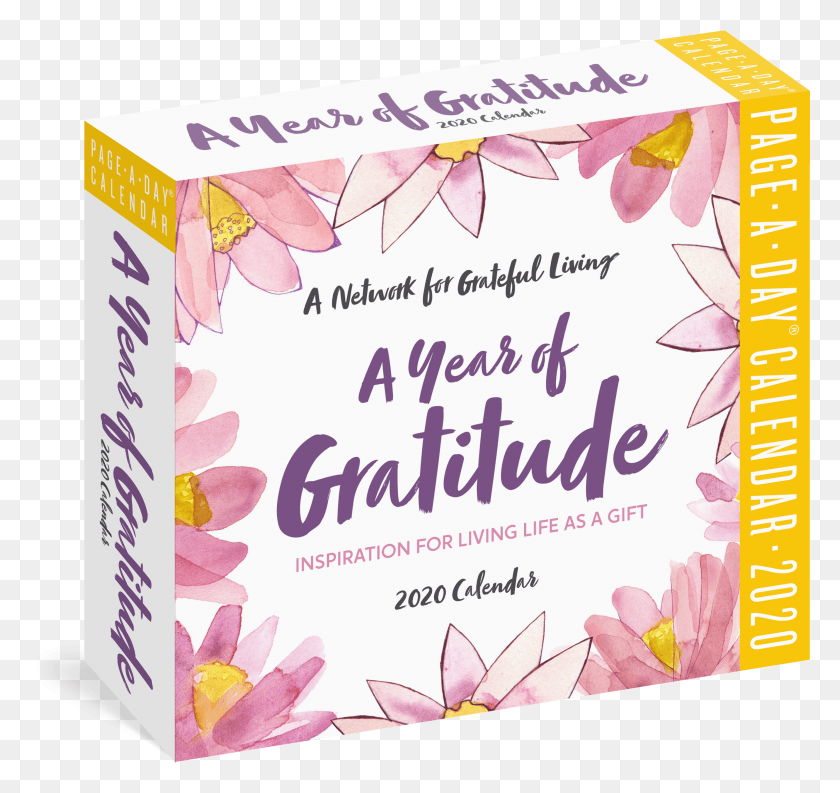 2798x2630 A Year Of Gratitude HD PNG Download