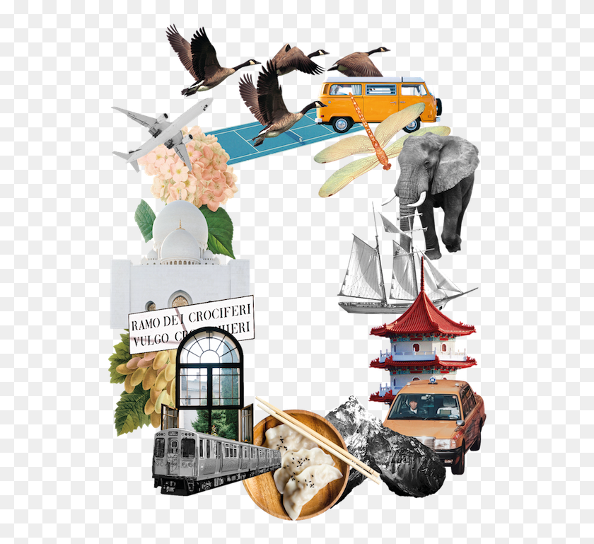 542x709 A Year Round Travel Club Illustration, Collage, Poster, Advertisement HD PNG Download