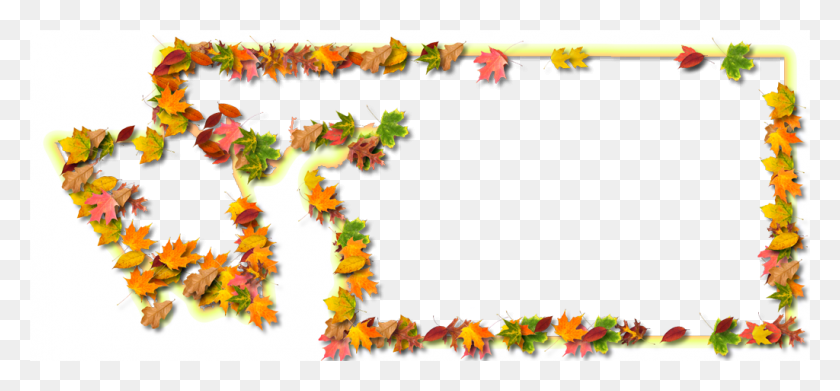 1024x435 A Yellow And Orange Outline Map Of Charlotte With Fall, Leaf, Plant, Tree HD PNG Download