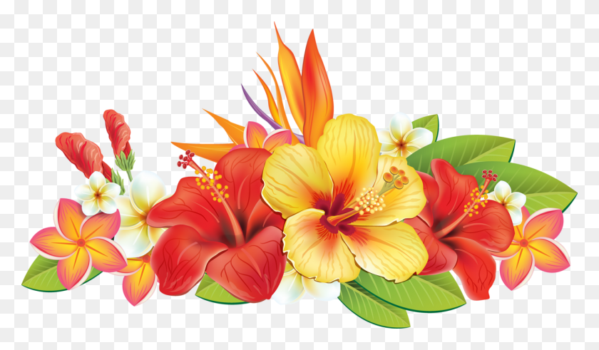 1280x708 A04cb 8beba5ab Orig Tropical Flowers Border, Plant, Hibiscus, Flower HD PNG Download