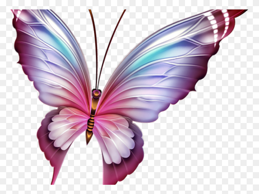 1168x856 A2f15 84debf66 Lpng Butterflies Mariposas, Pattern, Graphics HD PNG Download