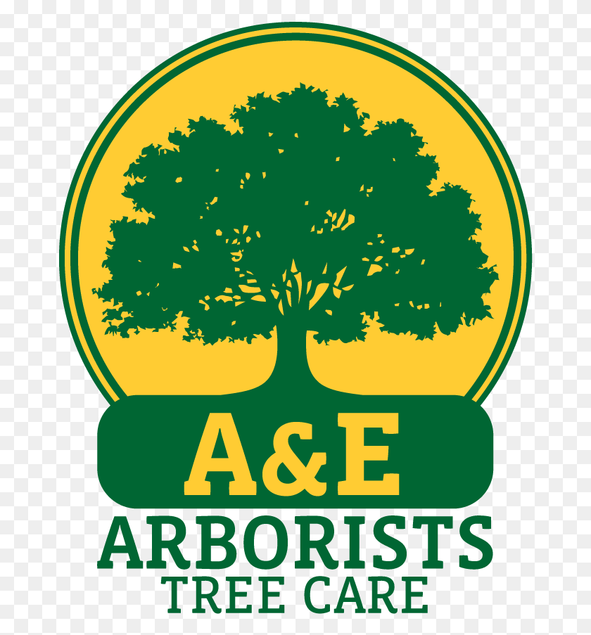 674x843 Aampe Arborists Tree Care Arema, Graphics, Poster HD PNG Download