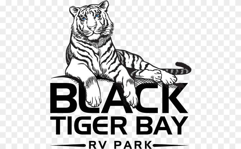 493x519 Aaron Johnson Black Tiger Logo, Animal, Mammal, Wildlife Transparent PNG