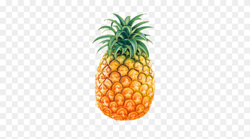 861x450 Abacaxi Tumblr Pineapple, Fruit, Plant, Food HD PNG Download