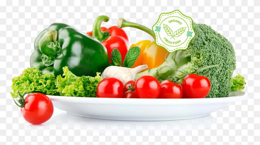 827x435 About 1 Plate Of Vegetables, Potted Plant, Plant, Vase HD PNG Download
