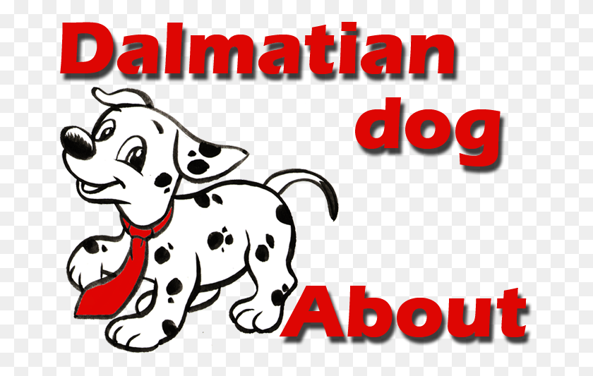 671x473 О Далматинских Собаках И Щенках 1001 Собака, Собака, Млекопитающее, Животное Hd Png Скачать