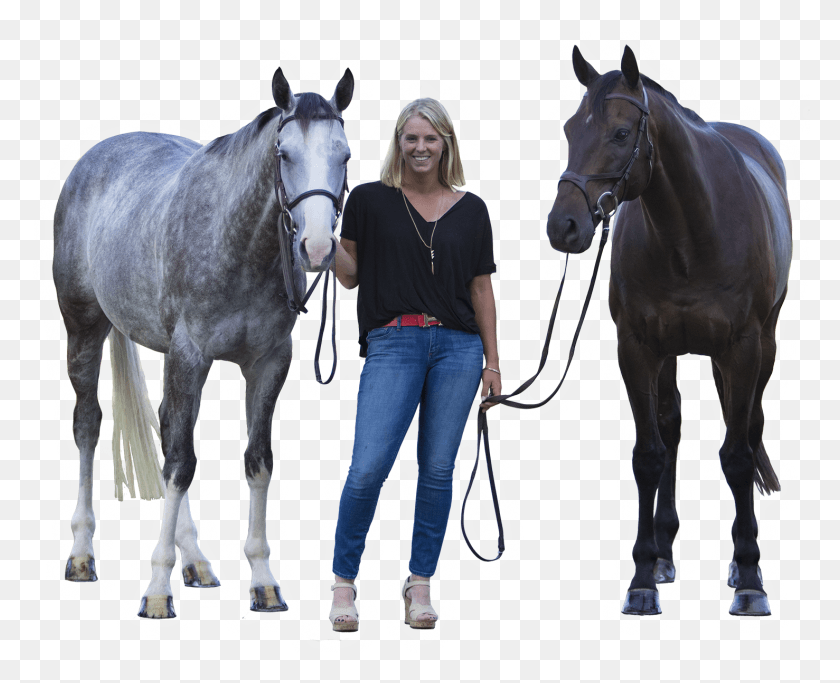 1477x1181 About Hillary Stallion, Person, Human, Horse HD PNG Download