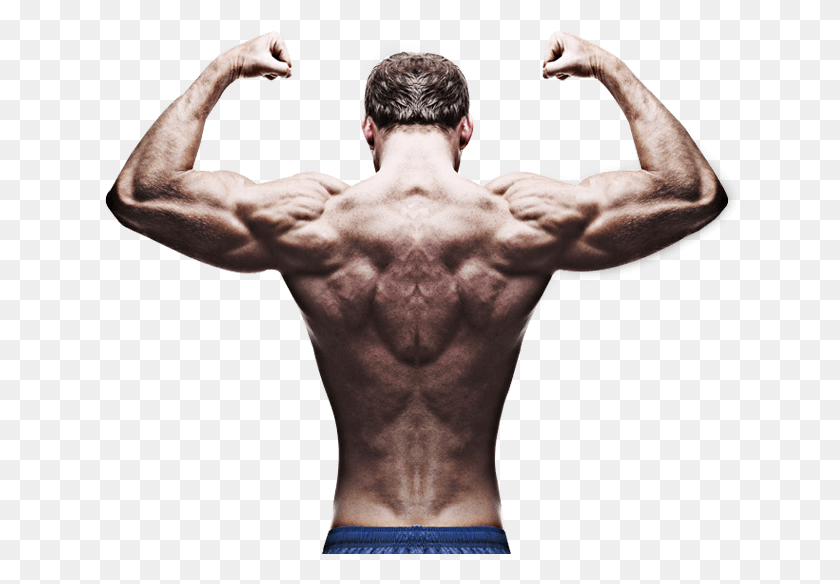 634x524 About Img Bodybuilder Back Pose, Person, Human, Arm HD PNG Download