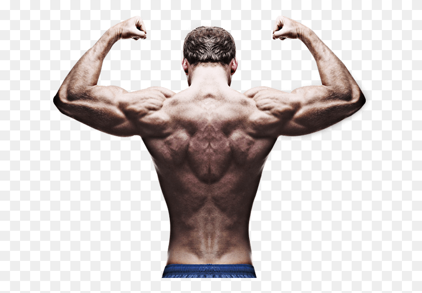 634x524 О Img Bodybuilder Back Pose, Человек, Человек, Рука Hd Png Скачать