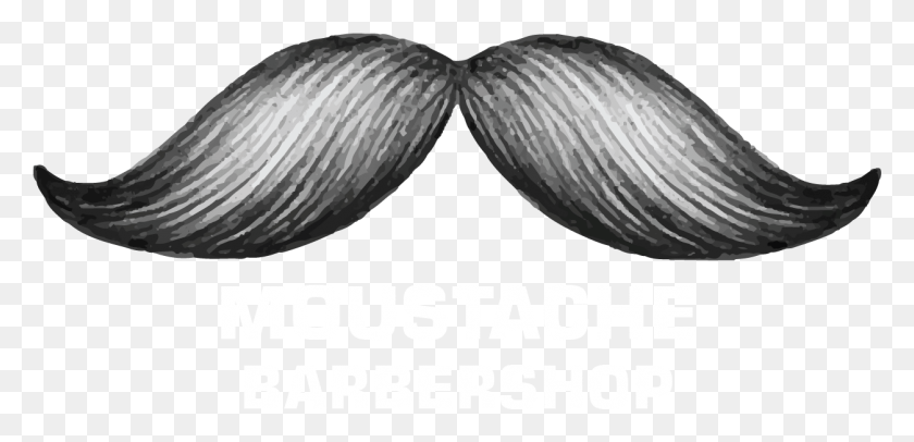 1254x557 About Moustache Mens Barbershop Illustration, Clam, Seashell, Invertebrate HD PNG Download