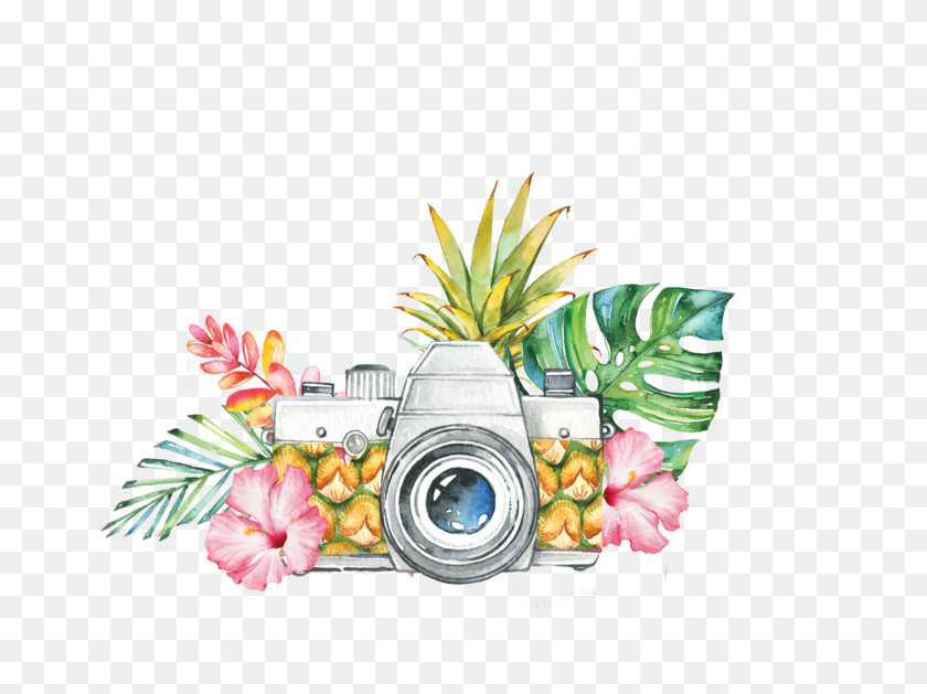 662x569 About Pineapple Photography Bouquet, Plant, Petal, Flower HD PNG Download