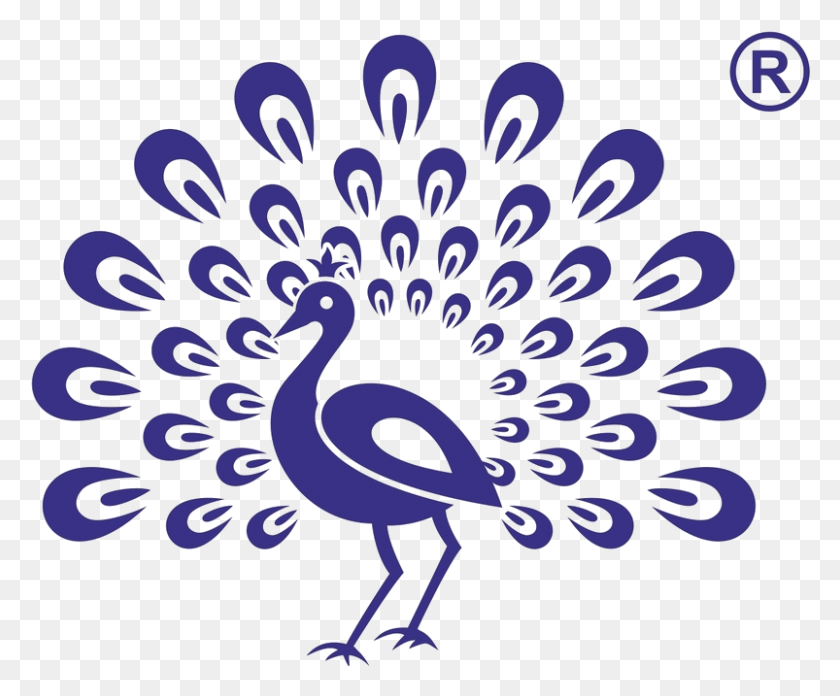 803x655 About Shree Mayur Engineering Company Wall Decal, Bird, Animal, Graphics HD PNG Download
