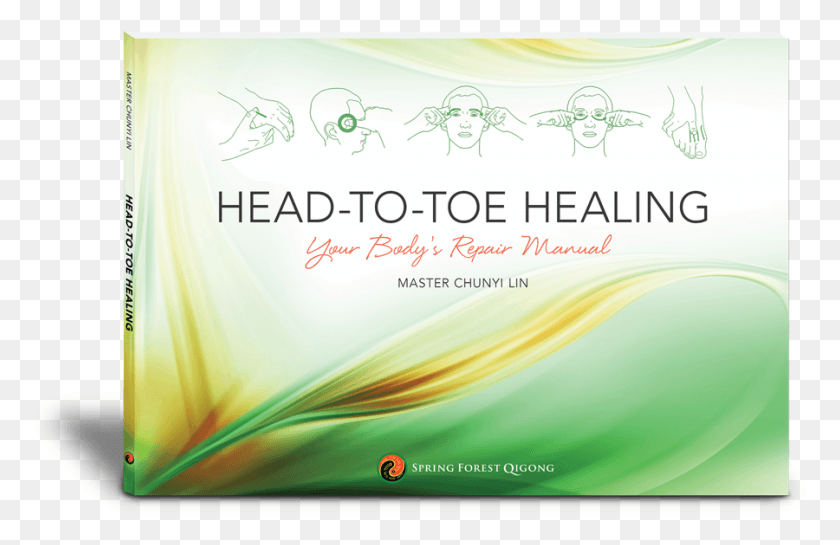 900x560 About Spring Forest Qigong Graphic Design, Flyer, Poster, Paper HD PNG Download