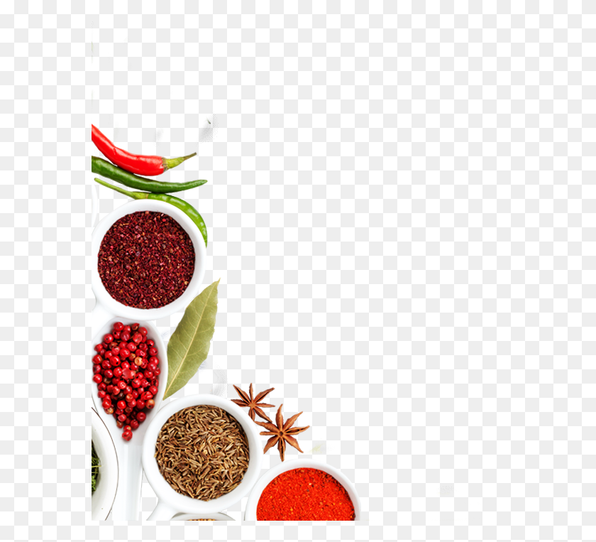 582x703 About Ss Bucket Biryani Superfood, Spice, Plant, Produce HD PNG Download