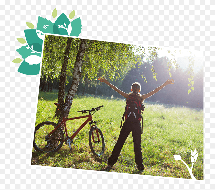 750x682 About Treevitalise Organic Birch Water Primavera Ejercicio, Bicicleta, Vehículo, Transporte Hd Png Download