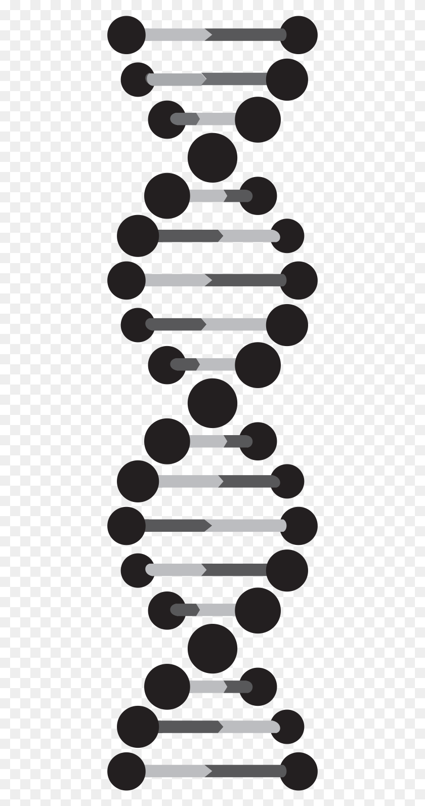 417x1533 About Us Black And White Dna Strand, Text, Number, Symbol HD PNG Download