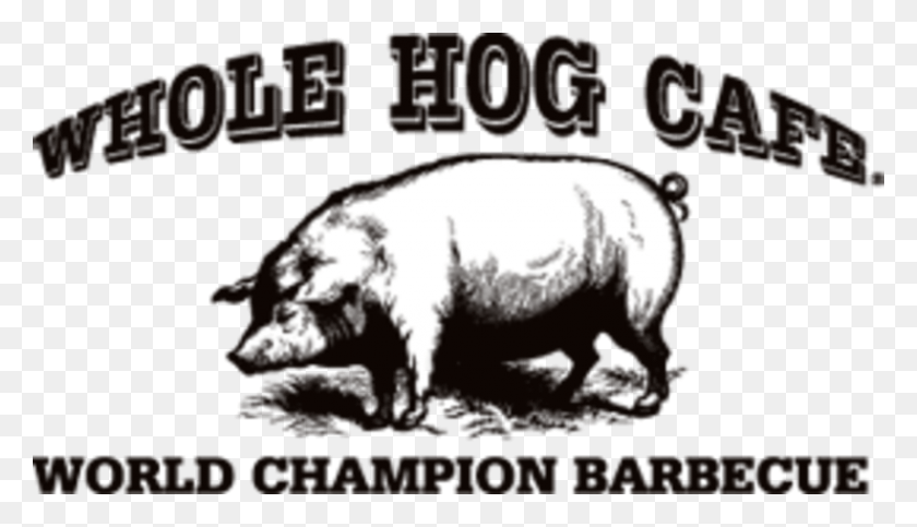 800x434 О Компании Whole Hog Cafe Amp Catering Whole Hog Cafe Logo, Свинья, Млекопитающее, Животное Png Скачать