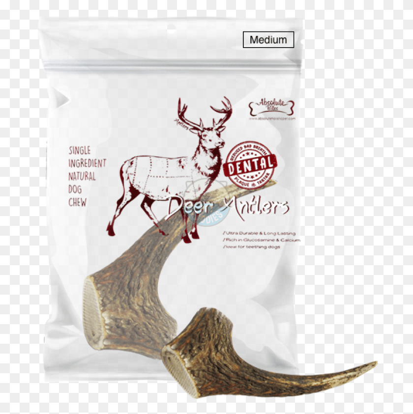 699x783 Absolute Bites Whole Deer Antlers Dental Chew Antler Deer Dental Chew, Horse, Mammal, Animal HD PNG Download
