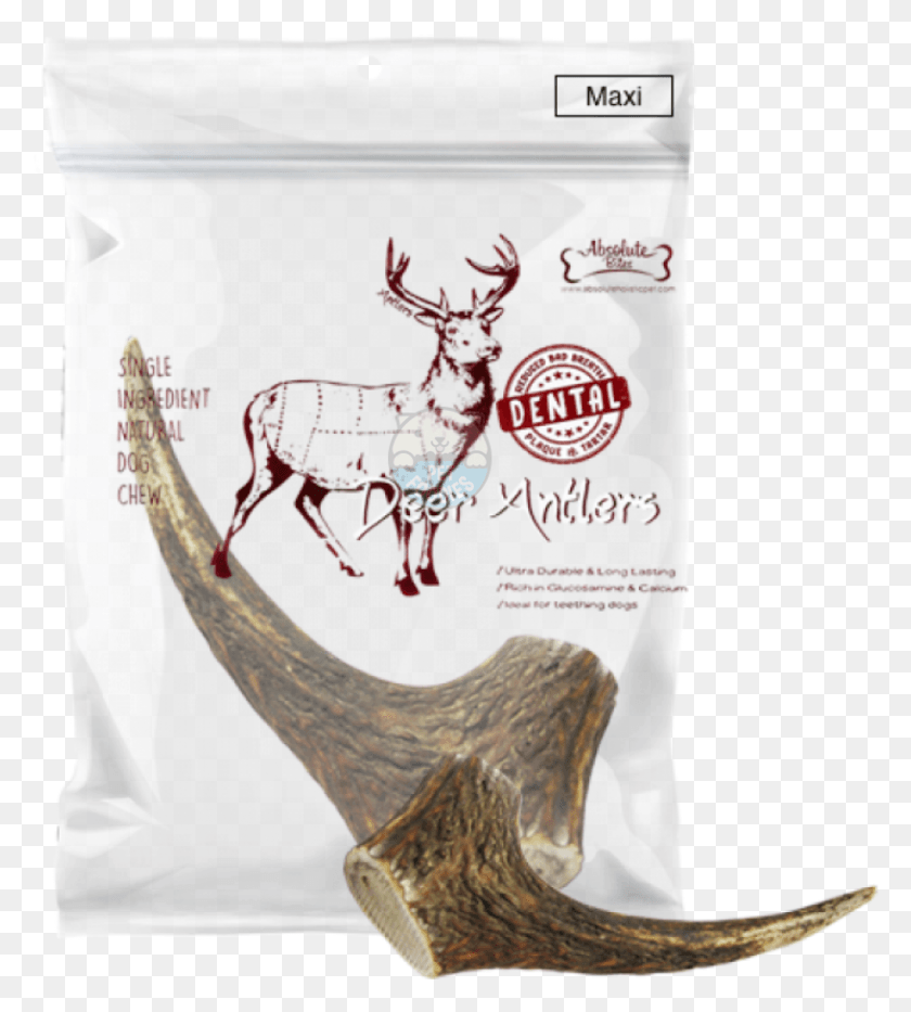 816x914 Absolute Bites Whole Deer Antlers Dental Chew Deer Antler Dog Chew Packaging, Horse, Mammal, Animal HD PNG Download