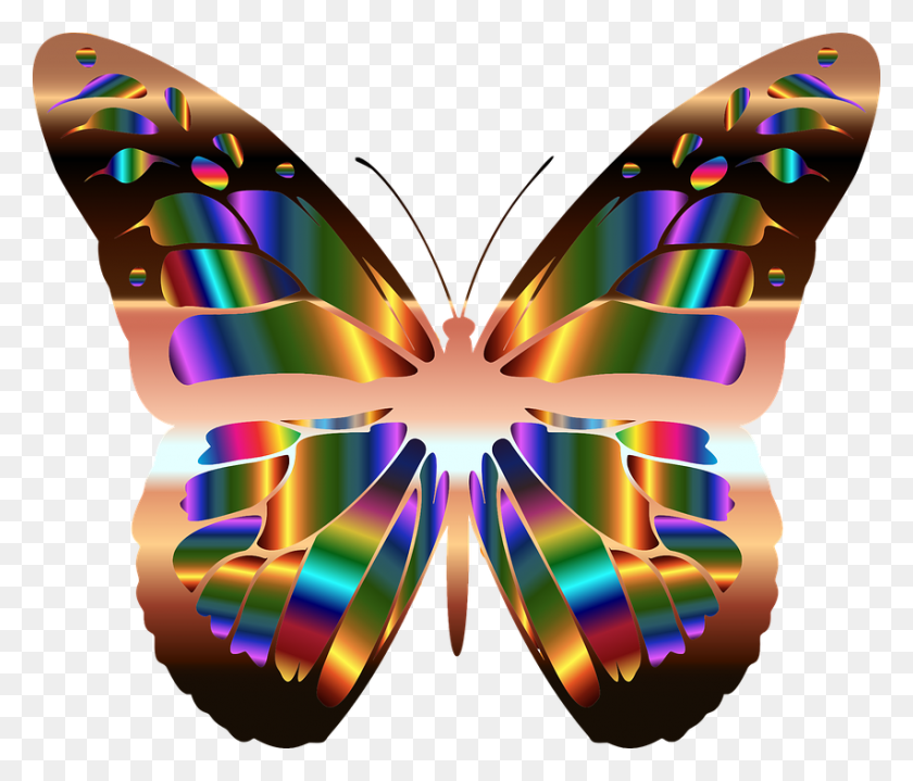 852x720 Abstract Animal Art Butterfly Neon Rainbow Butterflies, Ornament, Pattern, Graphics HD PNG Download