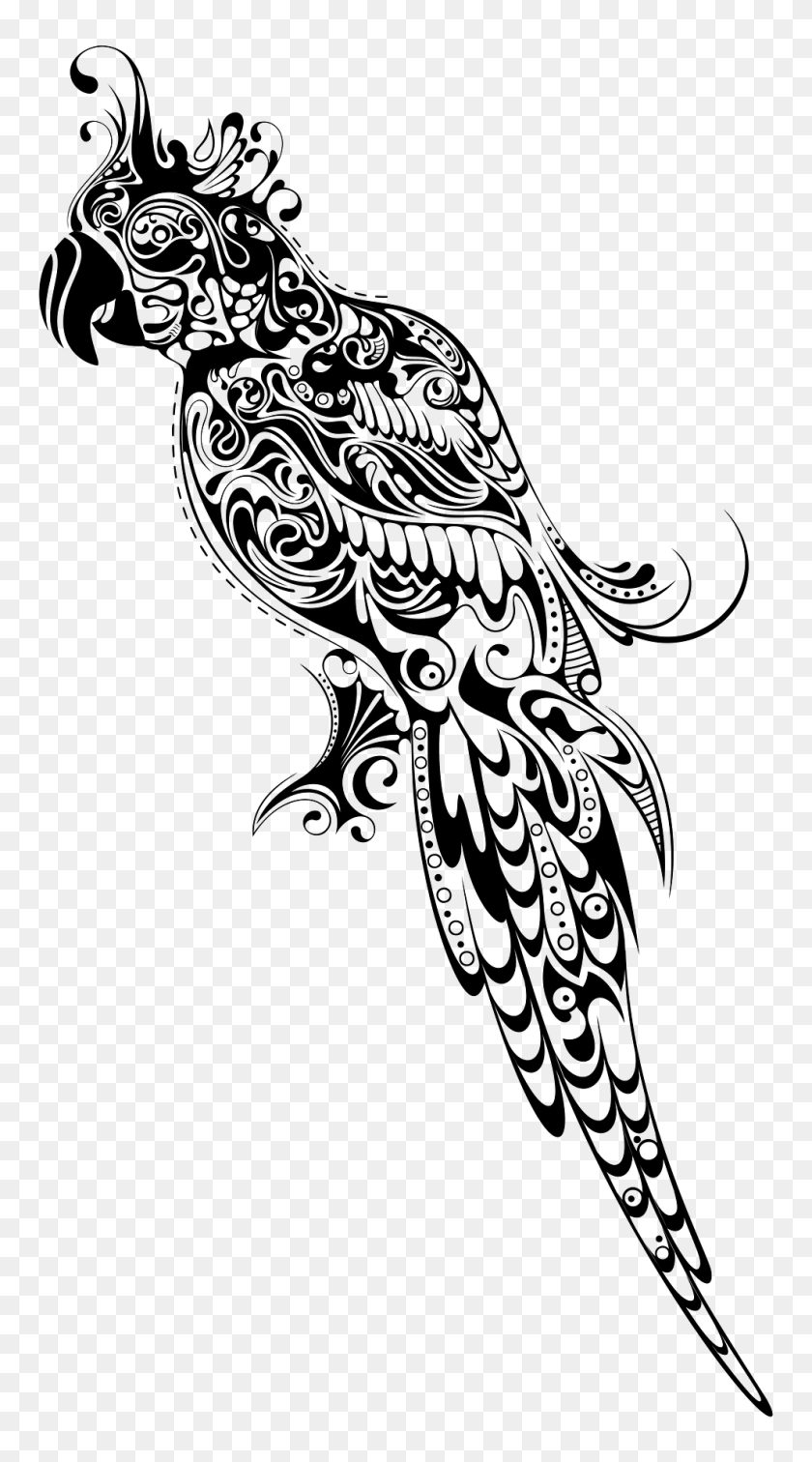Abstract Parrot Clipart, Animal, Bird Sticker PNG