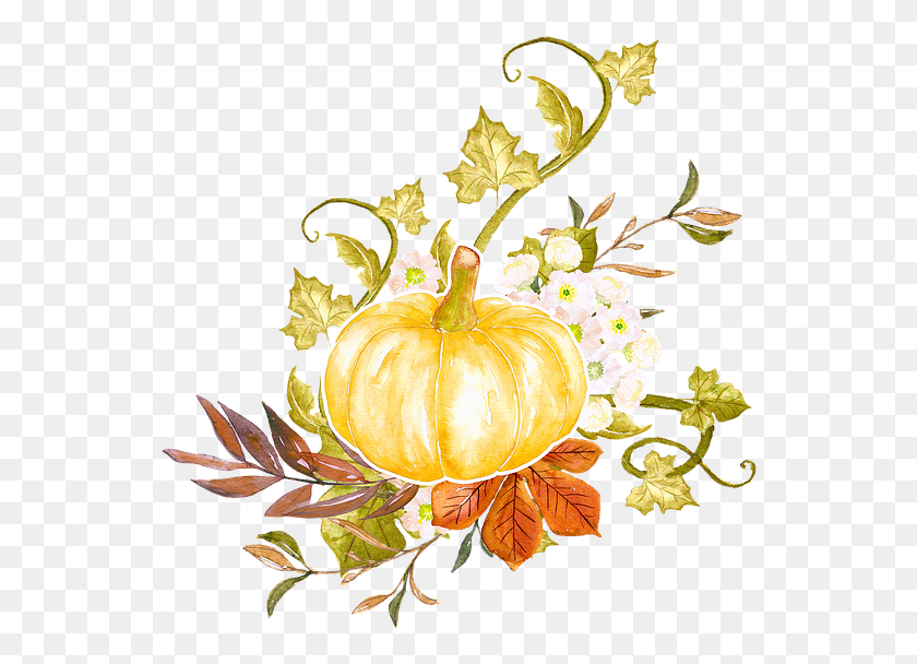551x548 Accin De Gracias Ornamentales Elemento Thanksgiving Bible Verses, Plant, Floral Design, Pattern HD PNG Download