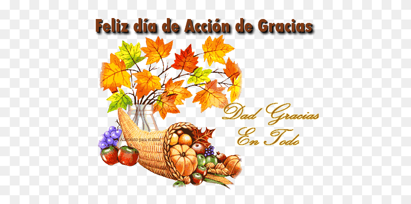 464x358 Accin De Gracias Thanksgiving Canned Food Drive Flyer, Leaf, Plant, Tree HD PNG Download