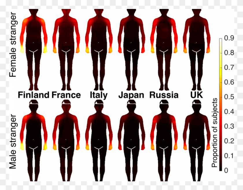 786x601 According To A Recent Doctoral Study Cultural Differences Tunteet Kehossa Aalto Yliopisto, Person, Human, People HD PNG Download