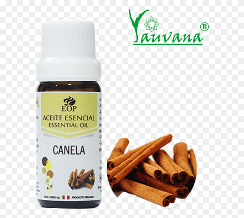 602x692 Aceite Esencial De Canela Pattai In Tamil, Food, Plant, Text HD PNG Download