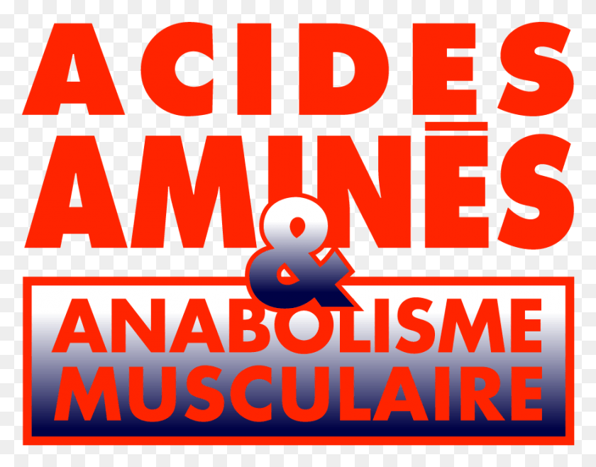 879x675 Acides Amines Anbolisme Rouge, Text, Word, Alphabet HD PNG Download