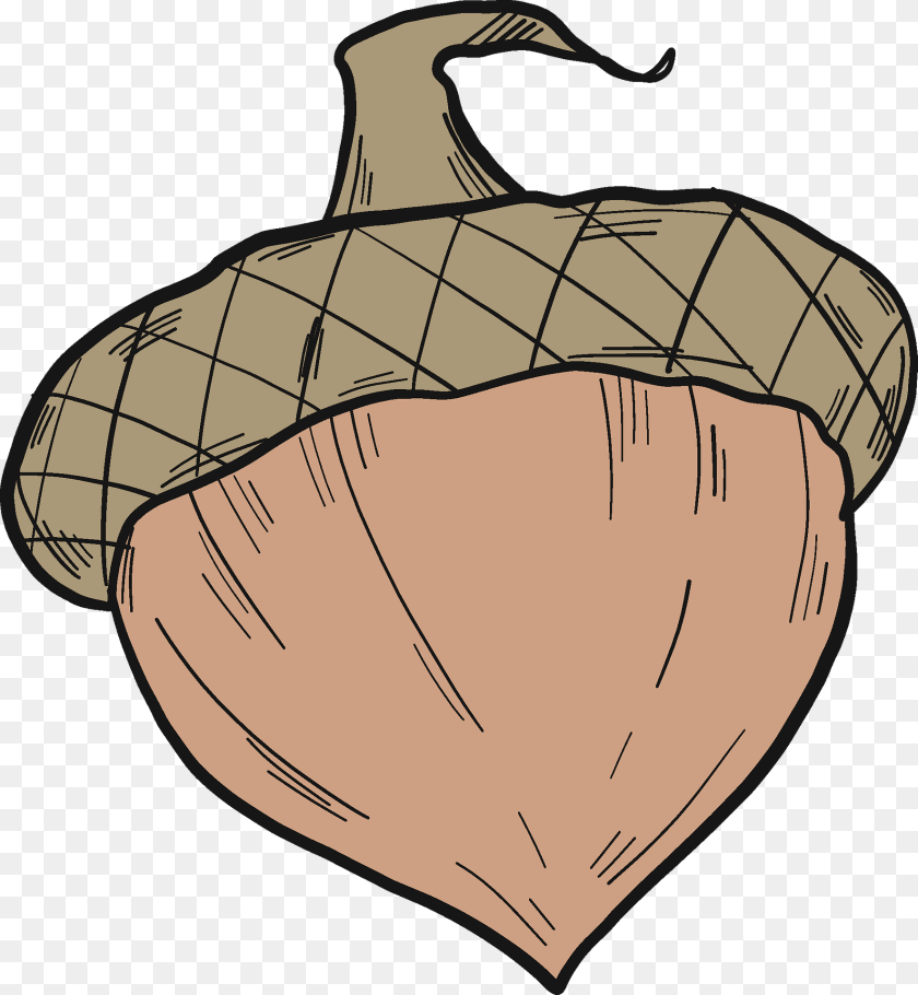 1772x1920 Acorn Clipart, Vegetable, Produce, Plant, Nut Sticker PNG