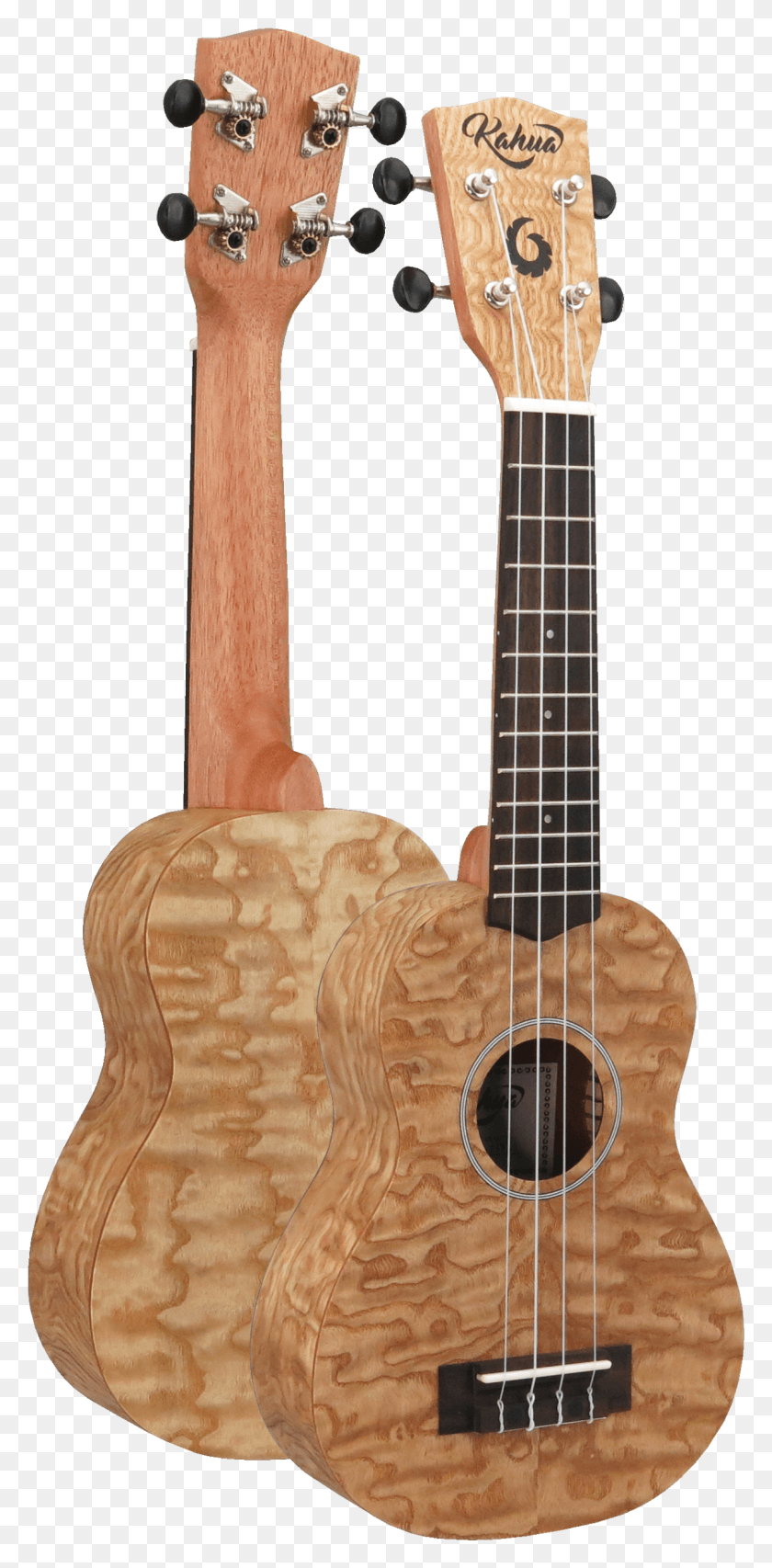 1197x2526 Acoustic Guitar, Bass Guitar, Leisure Activities, Musical Instrument HD PNG Download