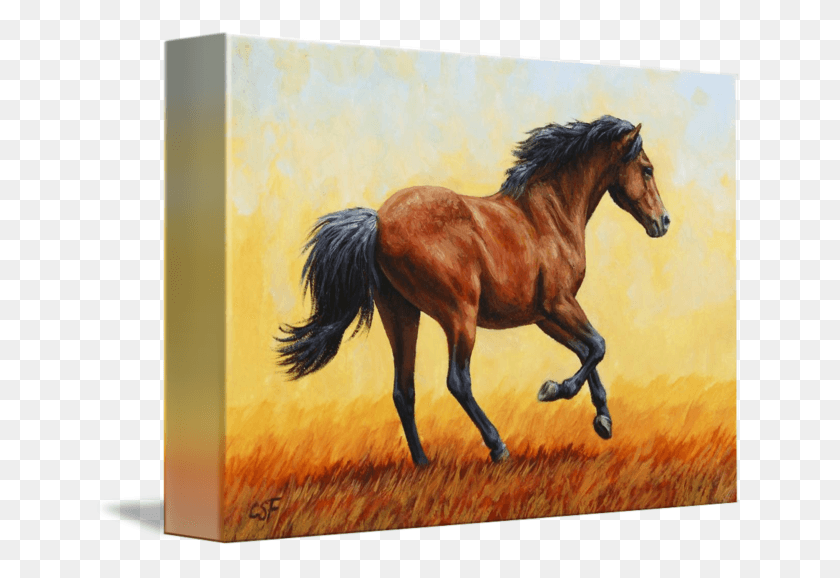 650x518 Acrylic Drawing Horse Running Horse Evening Fire, Mammal, Animal, Stallion HD PNG Download