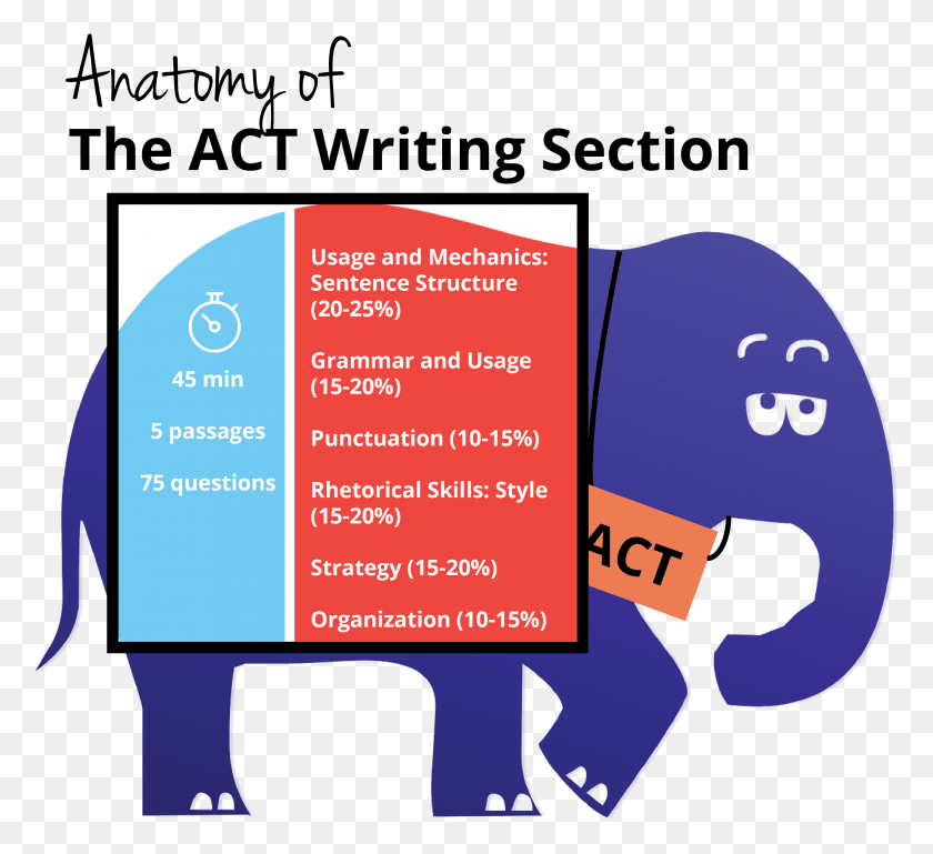 2507x2281 Act Writing Act Writing, Flyer, Poster, Paper HD PNG Download
