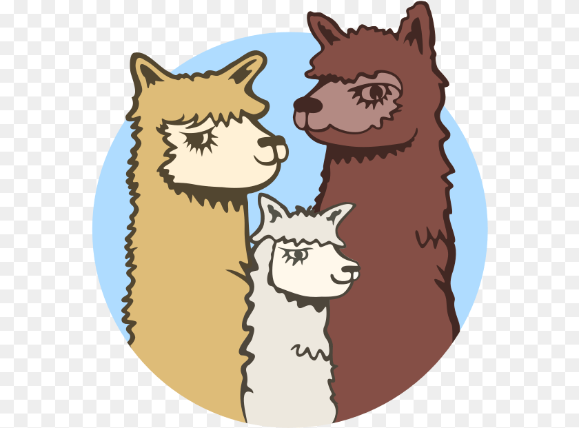 576x621 Acton Hill Alpacas Cartoon, Animal, Llama, Mammal, Cat Transparent PNG
