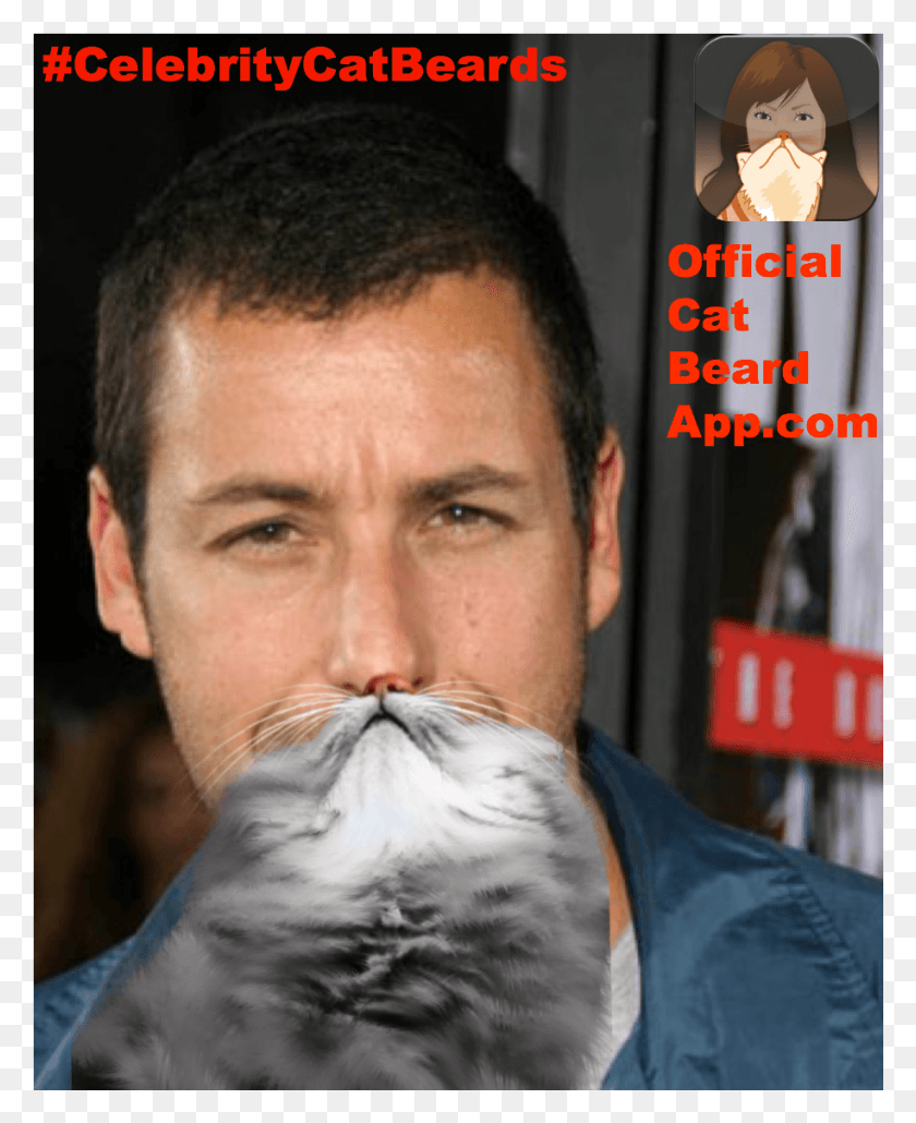915x1139 Adam Sandler With A Cat Beard Adam Sandler, Face, Person, Human HD PNG Download