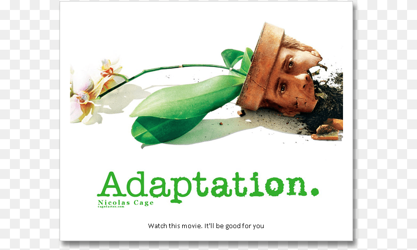 Adaptation Movie Poster, Advertisement, Plant, Herbs, Herbal Transparent PNG
