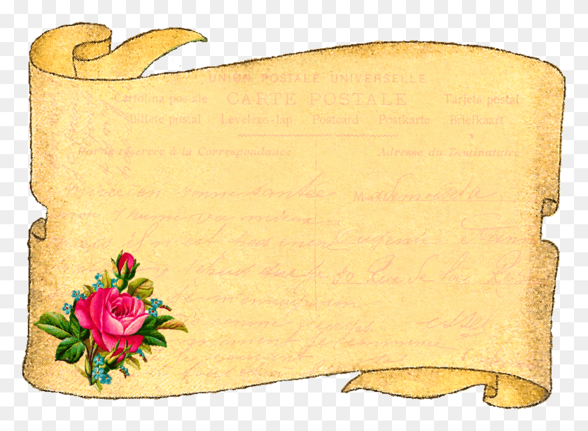 1423x1013 Descargar Png / Añada Líneas De Diario Y Su Mensaje Personalizado Rosas De Jardín, Libro, Diseño Floral, Patrón Hd Png