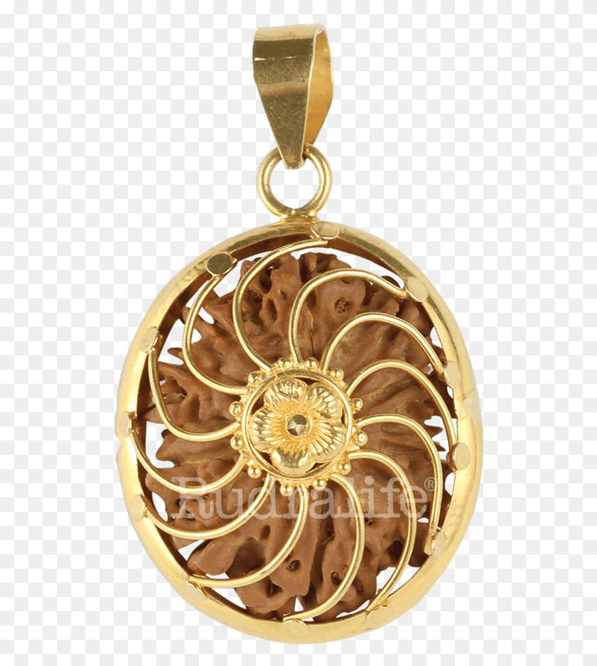 520x877 Add To Cart Locket, Gold, Bronze, Pendant HD PNG Download