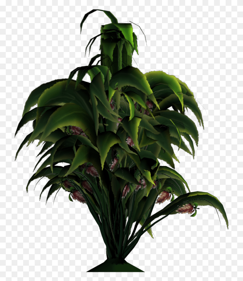 747x913 Added By Yorik On Houseplant, Plant, Flower, Blossom HD PNG Download