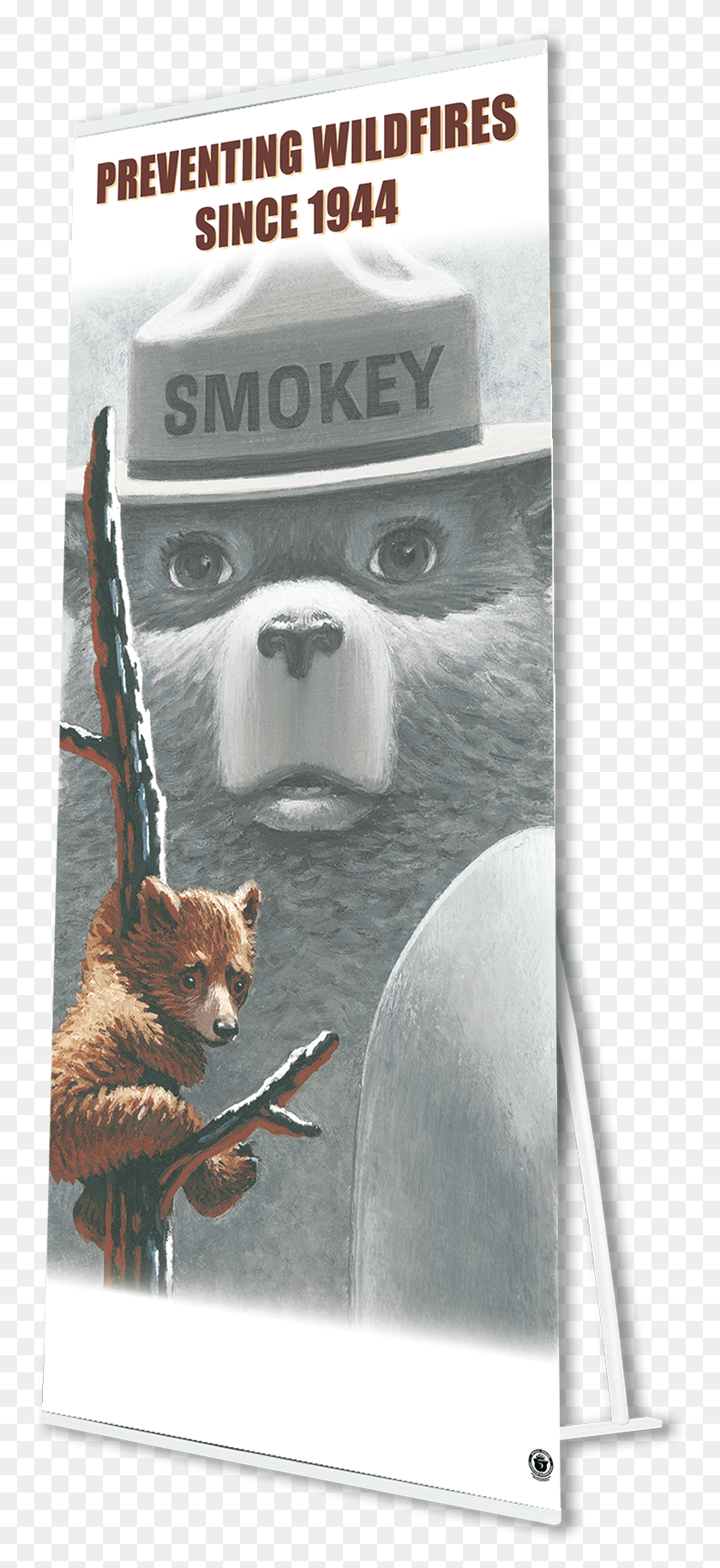 764x1768 Дополнительная Информация Медведь Гризли, Вода, Млекопитающее, Животное Hd Png Скачать