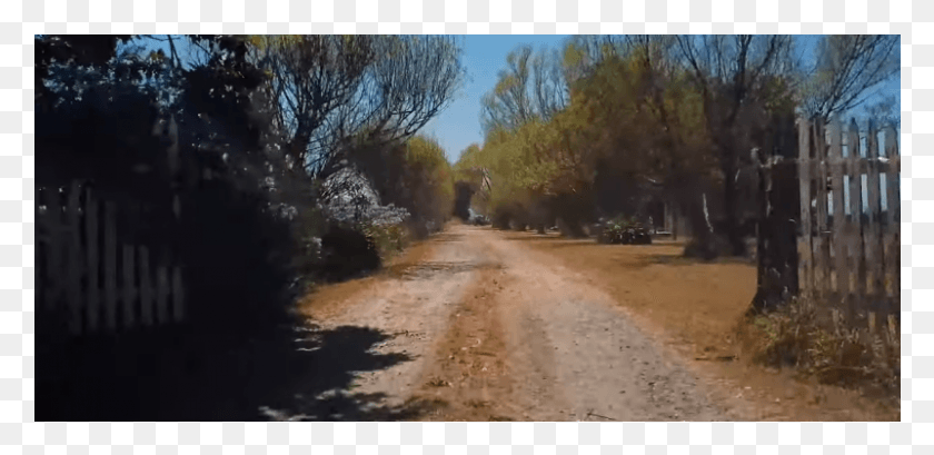 801x359 Address Available On Request Dirt Road, Path, Road, Vegetation HD PNG Download