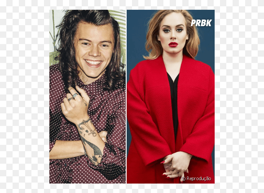 527x553 Adele Zayn Malik E Harry Styles Esto Na Lista Dos Harry Styles Polka Dotted, Person, Human, Skin HD PNG Download