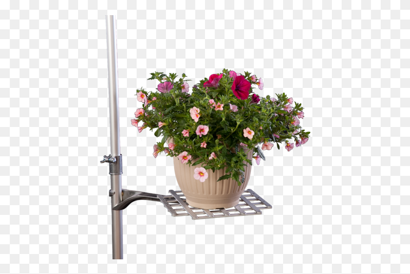 434x501 Adjustable Platform Shelf With Flower Arrangement Flowers Stand, Plant, Blossom, Vase HD PNG Download
