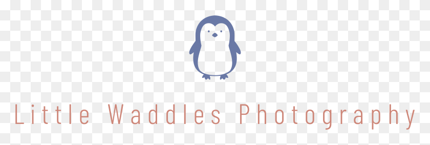 4999x1432 Adlie Penguin, Bird, Animal, Text HD PNG Download