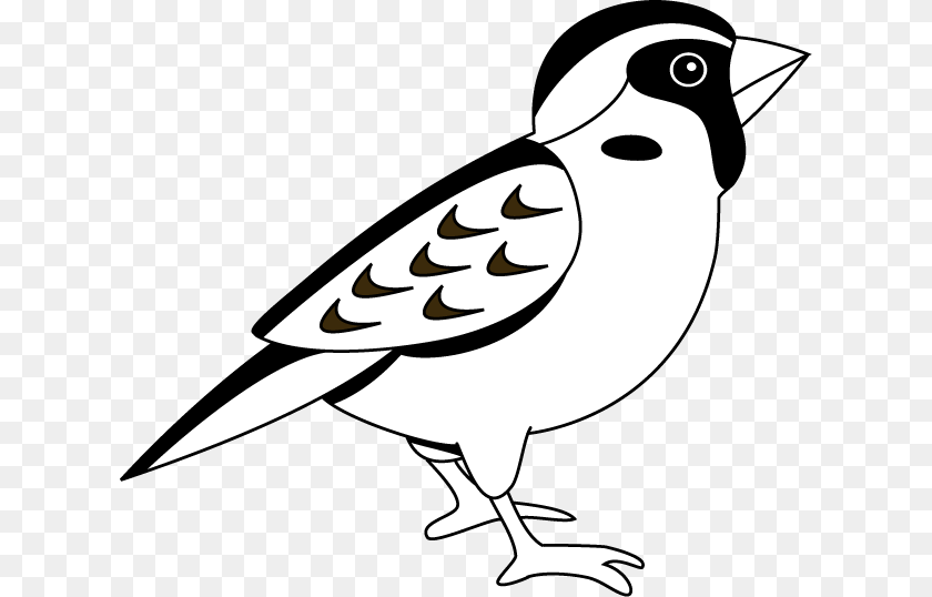 Admin Author, Stencil, Animal, Bird, Finch PNG