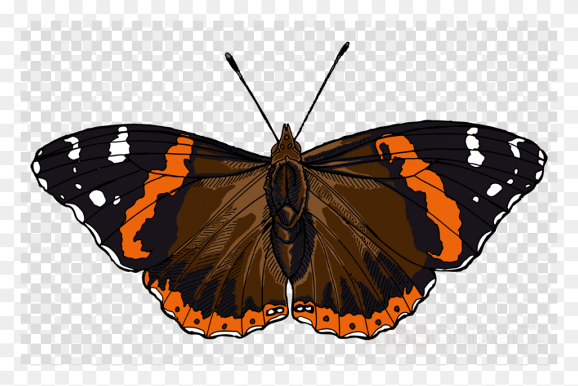 900x580 Admiral Butterfly Clipart Monarch Butterfly Red Smart Phone Not Allowed, Insect, Invertebrate, Animal HD PNG Download