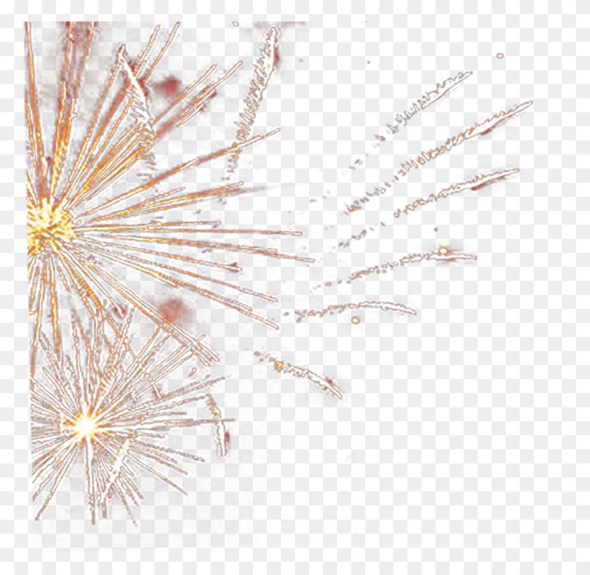 1558x1517 Adobe Fireworks Golden Fireworks, Nature, Outdoors, Night HD PNG Download